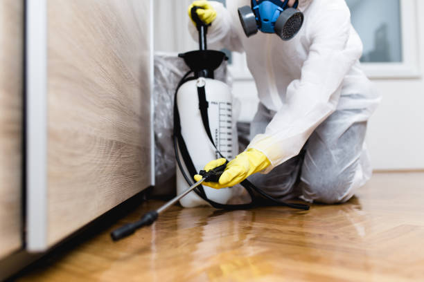 Trusted Waxahachie, TX Pest Control Experts