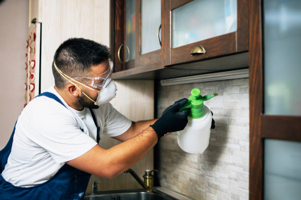 Best Pest Prevention Services  in Waxahachie, TX