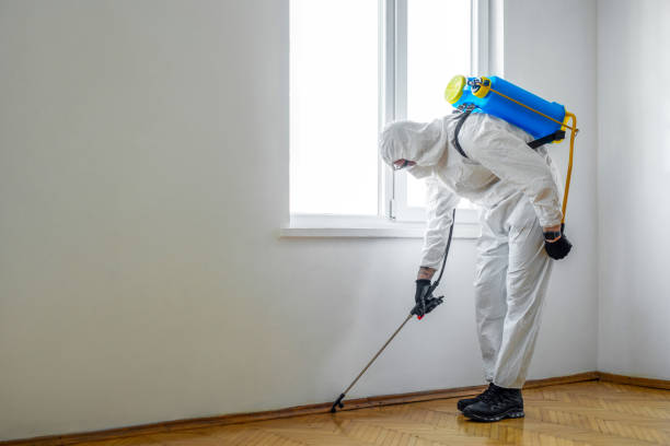 Best Mosquito Control Services  in Waxahachie, TX