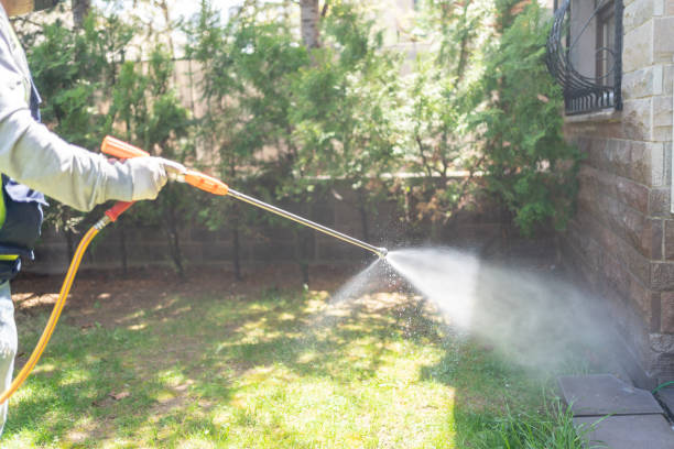 Wasp Removal Services in Waxahachie, TX