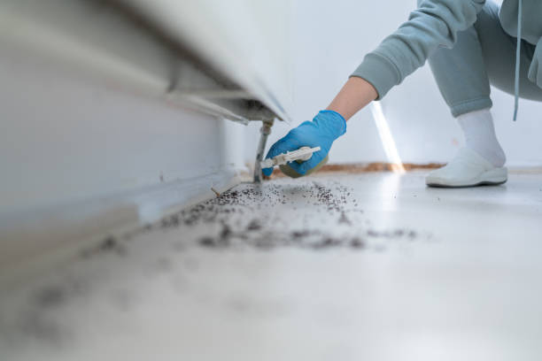 Best Pest Removal Services  in Waxahachie, TX